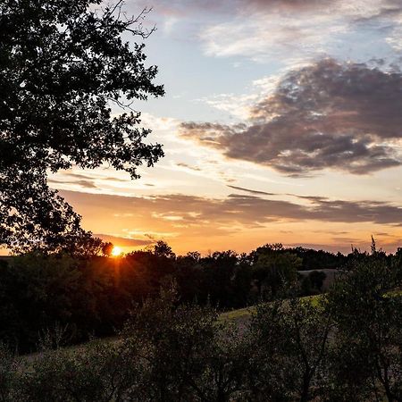 فيلا Agriturismo Podere Campinovi كولّي فال ديلسا المظهر الخارجي الصورة